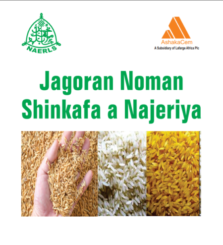 Jagoran Noman Shinkafa a Nigeria cover