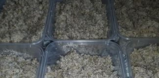 Yadda Ake Burabusko Burabusko