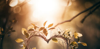 Yadda Ake Shagwaɓa Mai Gida A Lokacin Hutu