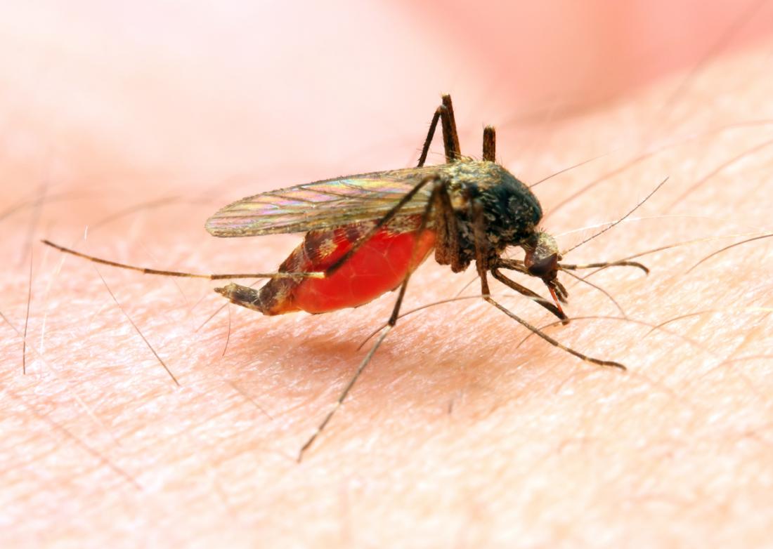 Mene Ne Zazzaɓin Cizon Sauro (Malaria)