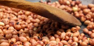 Yadda Ake Gyaɗa Marau-marau Gyaɗa Marau-marau