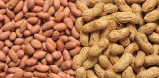 Yadda Ake Therapeutic Food (Abincin Yara)