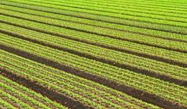 Noma A Najeriya Noma A Najeriya