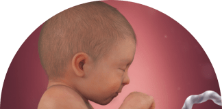 Ta Yaya Zan Gina Ƙwaƙwalwar Jaririna Tun Yana Ciki? ƙwaƙwalwar