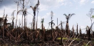 Al’amuran Muhalli A Nijeriya muhalli a najeriya