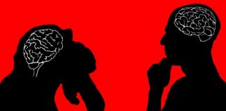 Siffofin Da Suka Bambanta Mutum Da Dabba