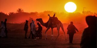 DUNIYA MAKARANTA! Dan Adam