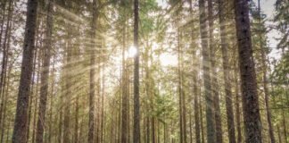 Falalar Azumin Tasu’a Da Ashura Falalar Azumin Tasu'a Da Ashura