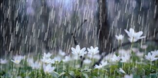 Yadda Ake Sallar Roƙon Ruwa Yadda Ake Sallar Ruwa