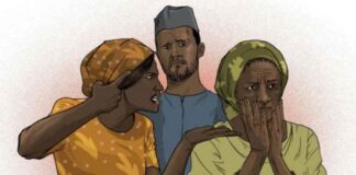 Abubuwan Dake Sa Kishiyoyi Shiri da Zaman Lafiya. zaman lafiya