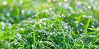 Abubuwan Da Ya Kamata A Sani Game Da Ciwon Sanyi Ciwon Sanyi