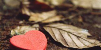 Hikimomi A Kan Wadatar Zuci Hikimomi Akan Wadatar Zuci