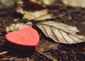 Hikimomi A Kan Wadatar Zuci Hikimomi Akan Wadatar Zuci