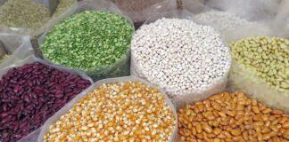 Zakkar Fid-Da-Kai Zakkar Fid-Da-Kai