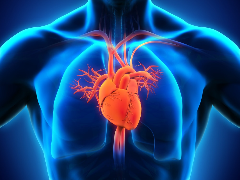 Ciwon Zuciya Tsantsa (Heart Failure)