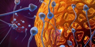 Dalilan Da Suke Sanya Mace Rashin Ɗaukar Ciki Dalilan Da Suke Sanya Mace Rashin Daukar Ciki