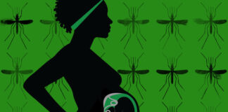 Malaria In Pregnancy Malaria In Pregnancy