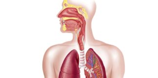 Physiology da Hausa Kashi na Bakwai: Respiratory System (Sashin Numfashi) Physiology da Hausa Kashi na Bakwai: Respiratory System (Sashin Numfashi)
