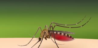 Sauro Yana Gani Ne Da Iskar Da Muke Fitarwa (Co2)