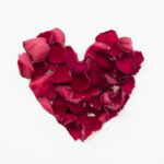 Alamomin Shigar So 2