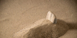 Me Za Ka Yi Idan Ka Ga Ɗan Uwanka Zai Mutu?