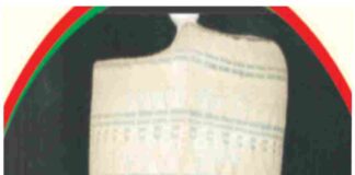 Tarihin Salmanu Faris Adamu