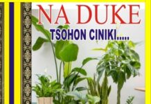 Dabarun Noman Zamani