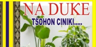 Dabarun Noman Zamani