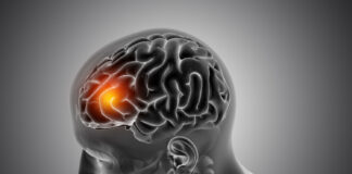 Birkicewar Tsarin Jijiyoyin Jiki