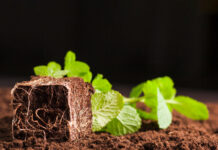 Akan Wacce Ƙasa Ake Yin Noma?