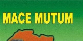 Jigo Da Salo A Littafin Mace Mutum