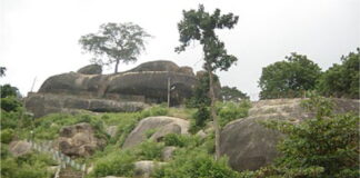 Shigowar Yarabawa Ƙasar Hausa