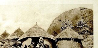 Shigowar Nufawa Ƙasar Hausa