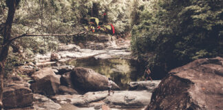 Yadda Maguzawa Suke A Taƙaice