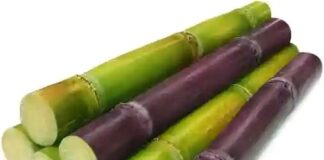 Amfanin Rake Ga Lafiyar Ɗan Adam