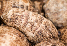 Abincin Hausawa Kashi Na 1