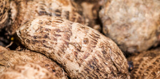 Abincin Hausawa Kashi Na 1