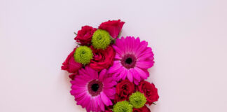 Juyin -Juya Hali A Rubuce-rubucen Littattafan Adabi