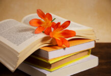 Rubuce-Rubucen Talatu Wada Ahmed A Kan Tarbiyya