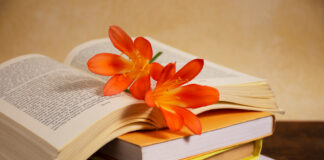 Rubuce-Rubucen Talatu Wada Ahmed A Kan Tarbiyya