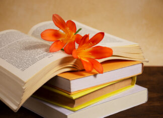 Rubuce-Rubucen Talatu Wada Ahmed A Kan Tarbiyya