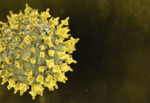 Yadda Danya (Molluscum Contagiosum) Take