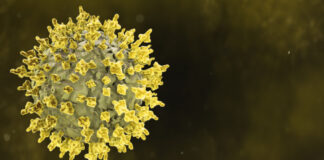 Yadda Danya (Molluscum Contagiosum) Take