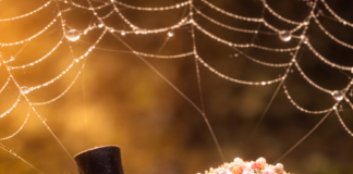 Tatsuniyar Gizo Da Matarsa Ƙoƙi