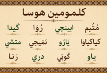 Maƙala Mai Taken: “Zamo Mini Tubali in Zam Miki Hoto”